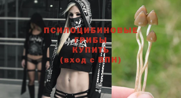 прущие грибы Алексин