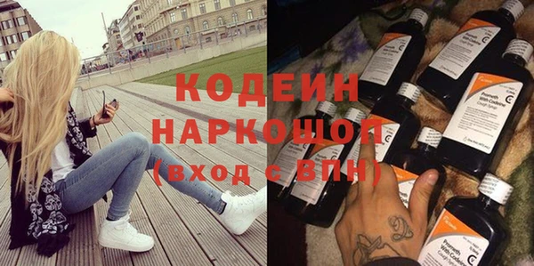 хмурый Аркадак