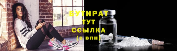 хмурый Аркадак
