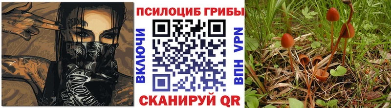 Галлюциногенные грибы мухоморы  Купить где  Данилов 